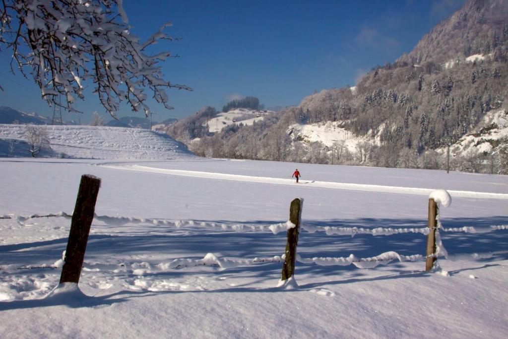 Der Jagdhof Apart otel Sankt Johann im Pongau Dış mekan fotoğraf